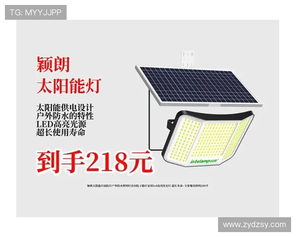 颖朗太阳能灯携手深圳新鹏城助力公益